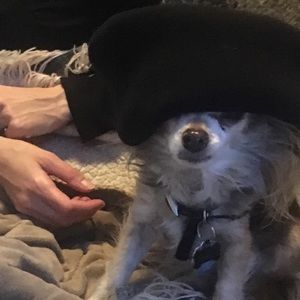 Meet your Posher, Gavriella